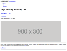 Tablet Screenshot of borderlink.com